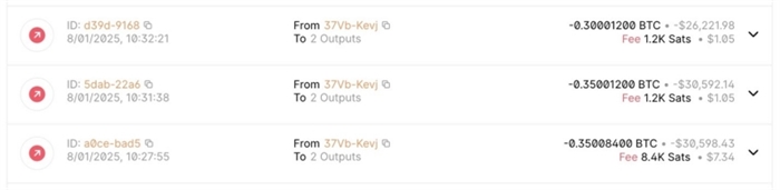  0.35 + 0.35 + 0.3 BTC 총 1비트코인을 출금해간 자료 